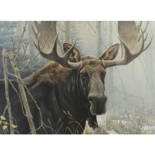 Realism 1970s Robert Bateman "Bull Moose" Framed Lithograph Signed/Numbered For Sale - Image 3 of 11