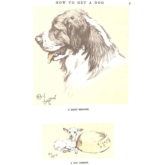 "Dogs of Character" Book 1927 Aldin, Cecil For Sale - Image 12 of 12