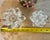 Swarovski Crystal Water Lily Lotus Flower Candle Holders (Set of 2, One Large, One Small) For Sale - Image 9 of 11