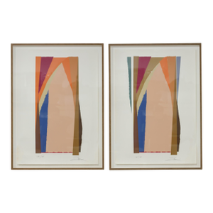 Larry Zox Bonac I & Ii, Abstract Expressionist Screenprint by Larry Zox 1981