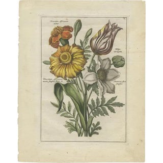 Elwe, Bouquet with Feverfew, 1794, Paper For Sale