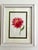 2020s Giclee Fine Art Print Watercolor Painting “Pink and Red” For Sale - Image 5 of 5
