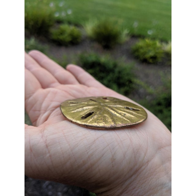 Vintage Coastal Brass Sand Dollar Paper Weight / Decorative Object For Sale In Charlotte - Image 6 of 7