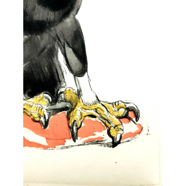 Paul Jouve - Eagle - Original Engraving 1950 For Sale - Image 4 of 8
