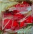 Contemporary Abstract Oil on Canvas "Time for Some Red" by Petra Schott For Sale - Image 6 of 6