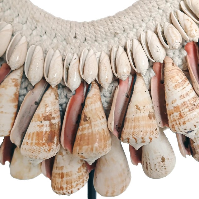 Cone Shell Necklace on Stand, Papua New Guinea, Contemporary For Sale - Image 15 of 16