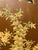 Brown Antique Chinese Qing Dynasty Hand-Painted Silk Wallpaper Folding Screen – 4 Panel Chinoiserie For Sale - Image 8 of 11