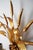 1970s American Regency Ear of Wheat Gilt Wall Lamps from Hans Kögl, 1960s, Set of 2 For Sale - Image 5 of 18