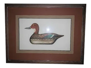 Original Pintail Hen Decoy Picture Sign Arthur Nevin Salem Mass 1945 121/150