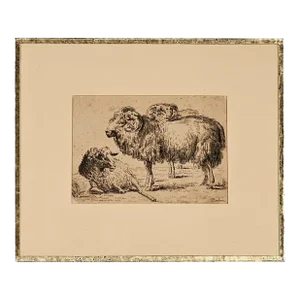 French Pen and Ink Drawing of Ram and Ewe, Circa 1800