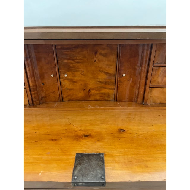 Brown 19th Century Swedish Satin Birch Chest of Drawers For Sale - Image 8 of 12