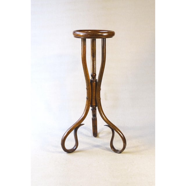Late 19th Century Art Nouveau Bentwood Flower Stand, 1890 For Sale - Image 5 of 14