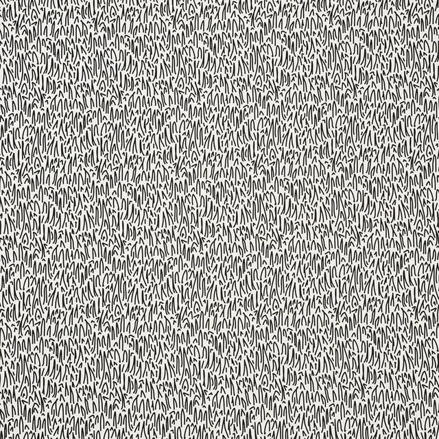 Schumacher X Studio Bon Grass Ii Fabric in Black For Sale