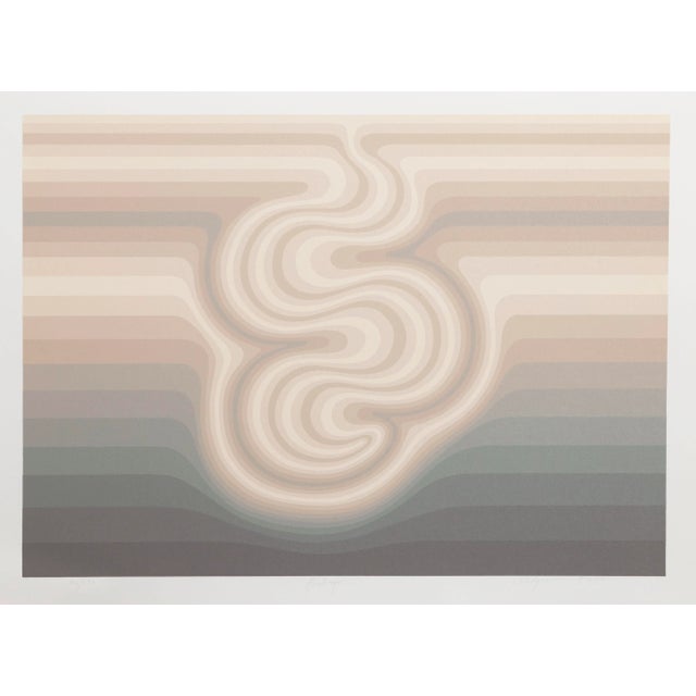 1980s Roy Ahlgren, "Embryo", Op Art Screenprint For Sale - Image 5 of 5