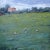 "Grazing Sheep on a Hillside" Contemporary Landscape Oil Painting For Sale - Image 9 of 13