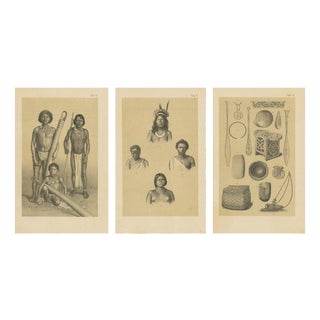 After Karl Martin, Suriname Indigenous People & Tribal Objects, Lithographs, 1888, Set of 3 For Sale
