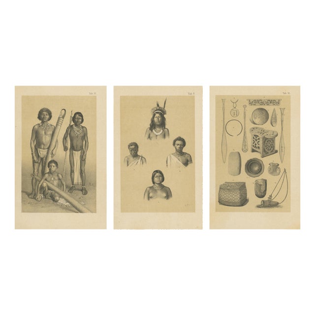 After Karl Martin, Suriname Indigenous People & Tribal Objects, Lithographs, 1888, Set of 3 For Sale