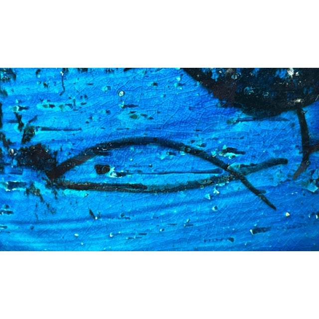 Mid-Century Modern Pesce Fish Studio Pottery Bowl by Aldo Londi for Bitossi, Italy, 1960s For Sale - Image 6 of 17