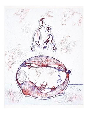 Après-moi le XX° siècle - Original Lithograph by Max Ernst - 1971 1971