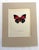 Realism Vintage 1965 Butterfly Print in 11x14 Mat: Agrias Sardanapalus (Bates), EUC For Sale - Image 3 of 3