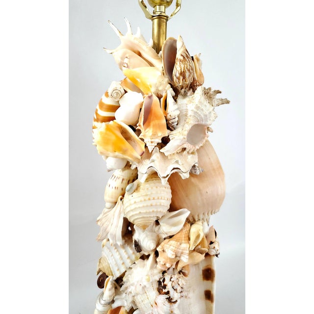Lamp Seashells Shells Extra-Large Size - Restored For Sale - Image 10 of 17