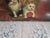 Wood Vintage Wood Keepsake / Storage Box With Kittens in Flowers For Sale - Image 7 of 10