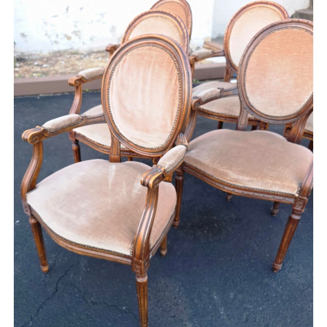 Brown Set of Six W. & J. Sloane Louis XVI Revival Walnut Oval Back Dining Armchairs, Mid-Century For Sale - Image 8 of 17
