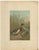 Prang, Mallard Duck, 1898, Paper For Sale