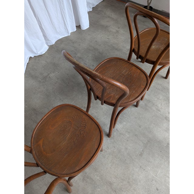 Vintage Carved Bentwood Farmhouse Dining Chairs, 1970s, Set of 3 For Sale - Image 17 of 18