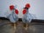 Vintage Rooster and Hen Lamps in Glass, 1980s, Set of 2 For Sale - Image 9 of 10