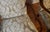 Hepplewhite 1980s Hickory Chair English Hepplewhite Mahogany Inlay Pair of High-Back Chairs For Sale - Image 3 of 17