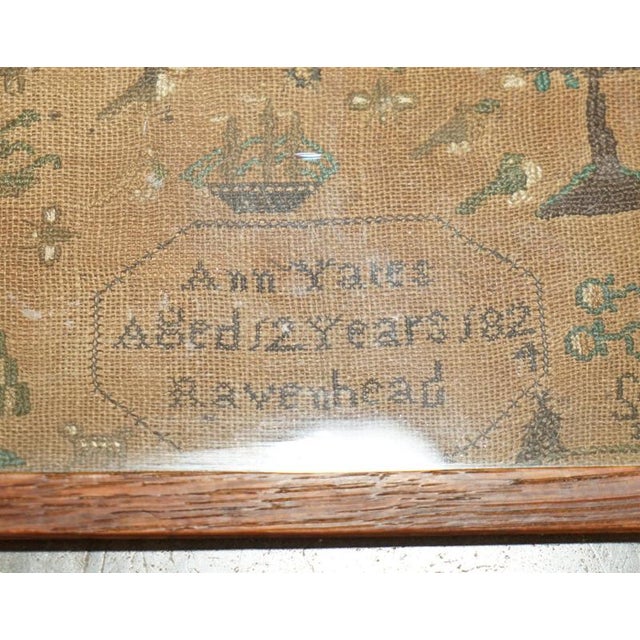 Antique English Needlework Sampler by Ann Yates, 1824 For Sale - Image 6 of 11
