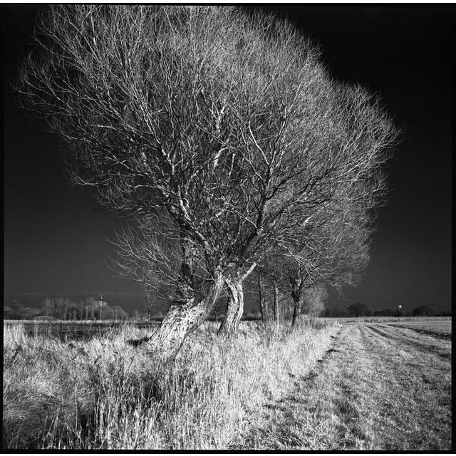 Contemporary Paul Cooklin, West Thorpe IV, Silver Gelatin Photograph For Sale - Image 3 of 3