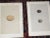 Mid 19th Century Antique 19th Century Hand Colored Egg Lithographs - Set of 9 For Sale - Image 5 of 10