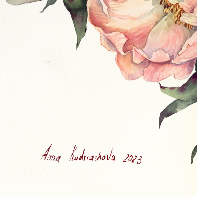 Peonies - Floral Watercolor Painting on Paper Original Artwork by Anna Kudriashova For Sale - Image 4 of 5
