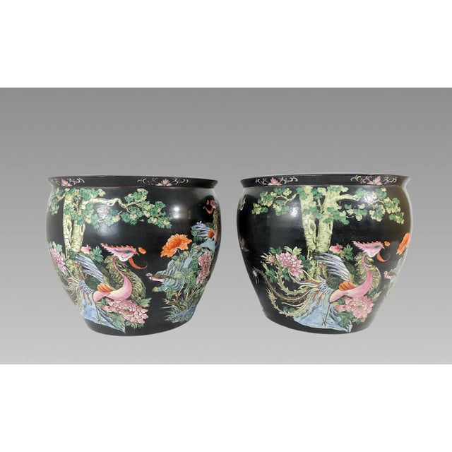 Chinoiserie Antique Nyonya Straits Chinese Porcelain Planters, Jardinieres, Famille Noire Black With Goldfish & Phoenix Birds, a Pair, Rosewood Stands, For Sale - Image 3 of 12
