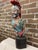 This carved ship's figurehead bust is modeled after the historic 1809 Royal Navy vessel HMA Ajax. It depicts the classic...