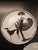 Late 20th Century House of Erté Limited Edition Art Deco Porcelain Plates - Set of Five For Sale In New York - Image 6 of 11