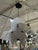 Modern Moooi Serpentine Pendant Light, Small For Sale - Image 3 of 12