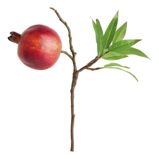 Pomegranate Picks 10" St/4 For Sale