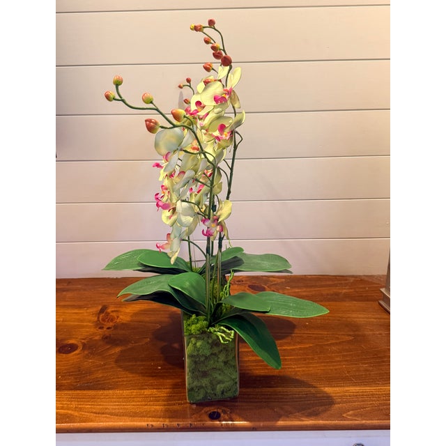 Mint Leaf Orchid Luxe For Sale - Image 4 of 6