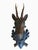 Cabin Black Forest Deer Head Wood Carving For Sale - Image 3 of 6
