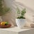 Contemporary Spike Vase For Sale - Image 3 of 11
