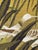 1950s Modern French Aubusson Tapestry by Rene Fumeron, 1950s For Sale - Image 5 of 18