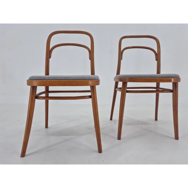 Set of Bentwood Chairs by Antonín Šuman, 1960s For Sale - Image 10 of 12