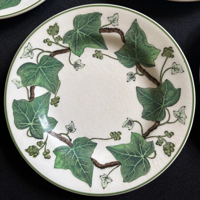 Classical Roman 1940s Napoleon Ivy Wedgwood Plates - Set of 5 For Sale - Image 3 of 8