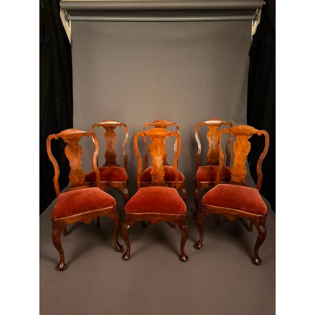 Set of 8 English Queen Anne Style Dining Chairs, Burl Walnut & Beechwood, 2 Armchairs and 6 Side Chairs, Circa 1890 For Sale - Image 4 of 13