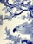 A Massive Antique Japanese Arita Porcelain Plate by Kajiwara Kiln For Sale In Atlanta - Image 6 of 16