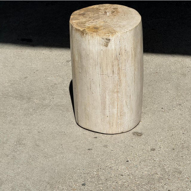 Small Side Table in Speckled White and Beige Petrified Wood, 1980s For Sale - Image 17 of 18