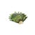 2000 - 2009 Floral Murano Glass Wall Sconces in Green, 2000, Set of 2 For Sale - Image 5 of 14